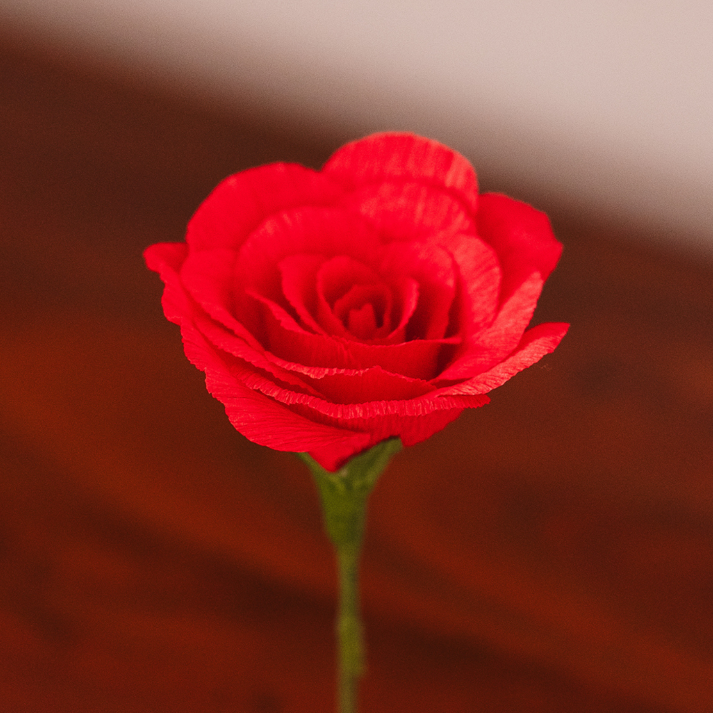 Rose Signature – Rouge Passion