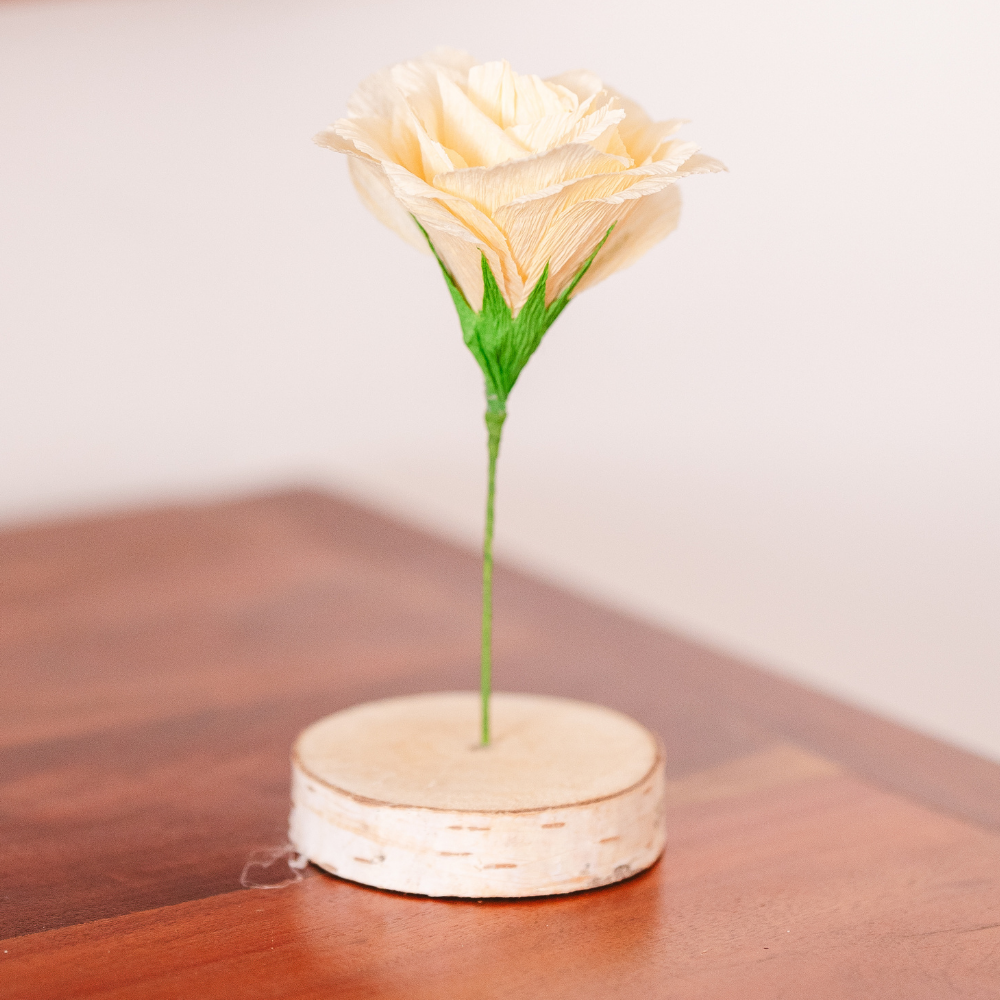 Rose signature - Ivoire
